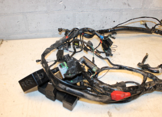 Wire Harness Triumph Sprint RS
