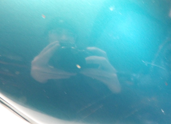 Tank Yamaha XJ 900 S Diversion