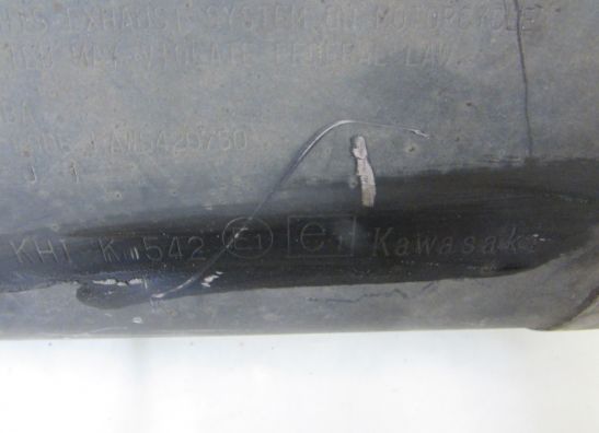 Auspuff Kawasaki Z 750