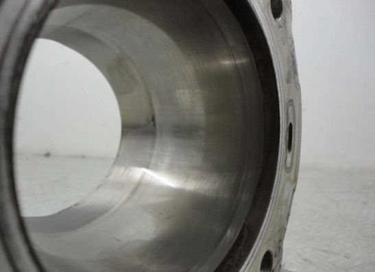 Cilinderblok Ducati 848