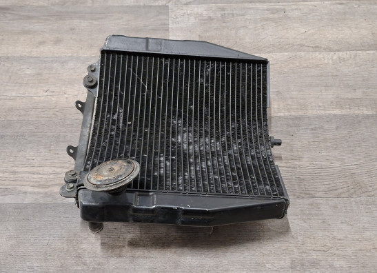 Kuhler Suzuki GSX R 750