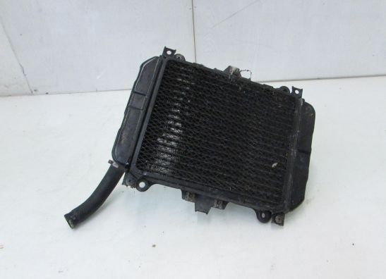 Radiateur Kawasaki GPZ 500