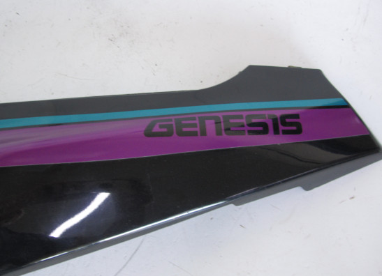 Heck links Yamaha FZR 1000