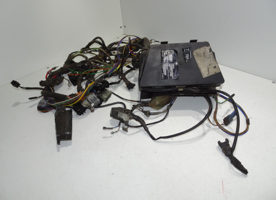 Kabelbaum BMW R 850 GS