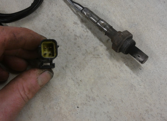 Lambda sensor Triumph Sprint ST 955