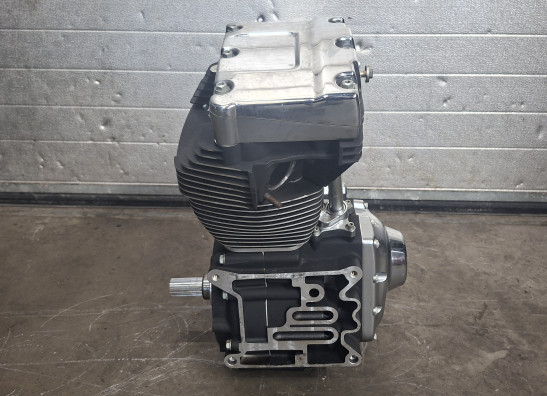 Motorblok Harley Davidson Twincam