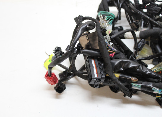 Kabelbaum Honda CRF 1100 Africa Twin