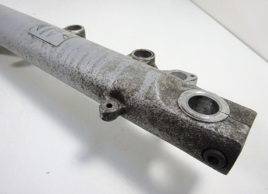 Standrohr Gabelholm links komplett BMW R 1100  850 R