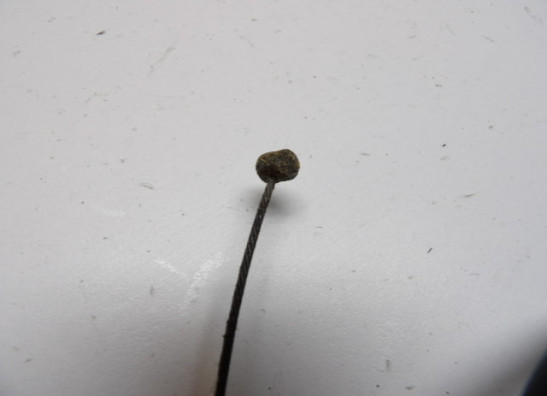 Gaskabel Honda CBR 600 F