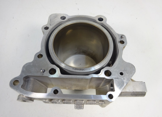 Zylinder Aprilia RSV 1000