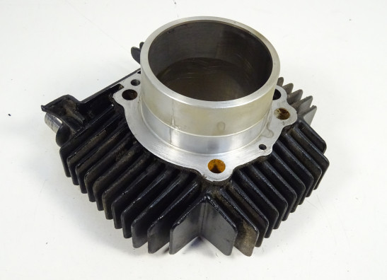 Cilinderblok Ducati monster 600