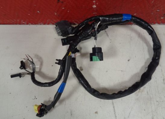 Wire harness front Suzuki GSX R 1000