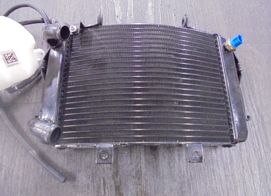 Radiator KTM 690 Duke 