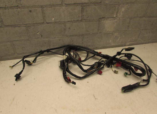 Kabelboom Honda CBR 1000 F