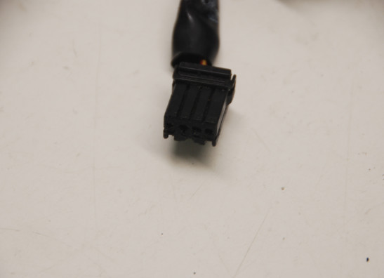 Achterlicht Harley Davidson Softtail