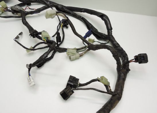 Kabelbaum Yamaha YZF 600 Thundercat