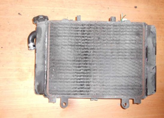 Kuhler Kawasaki ZX 6 R