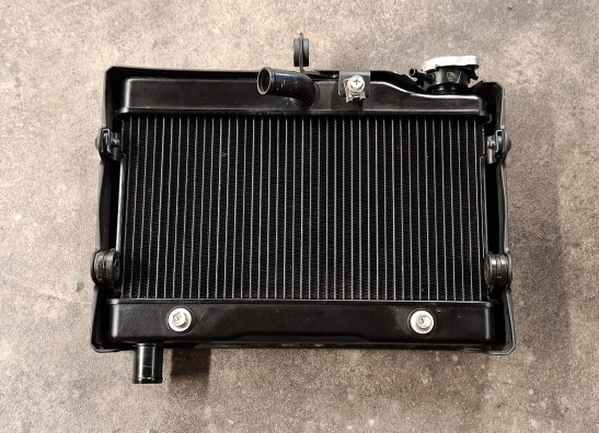 Kuhler Honda CMX 500 Rebel