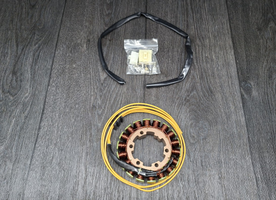 Dynamo Honda CBR Fireblade