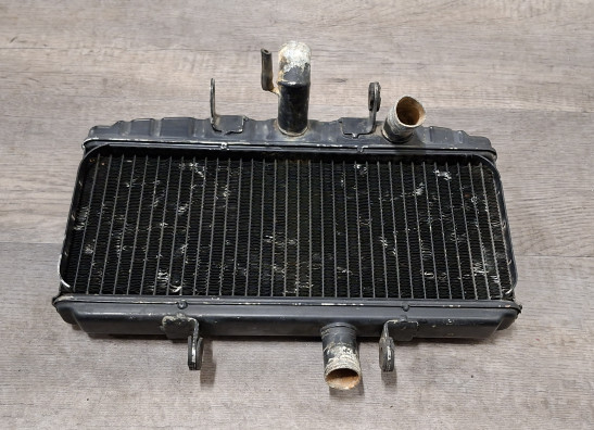 Radiator Suzuki GT 750