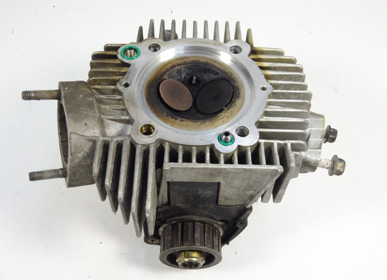 Zylinderkopf Ducati monster 600