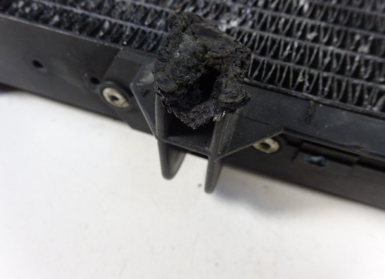 Kuhler BMW F 800 S - ST