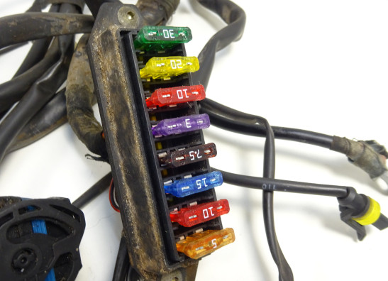 Kabelboom Ducati monster 600