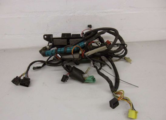 Wire Harness Suzuki GSX F 600