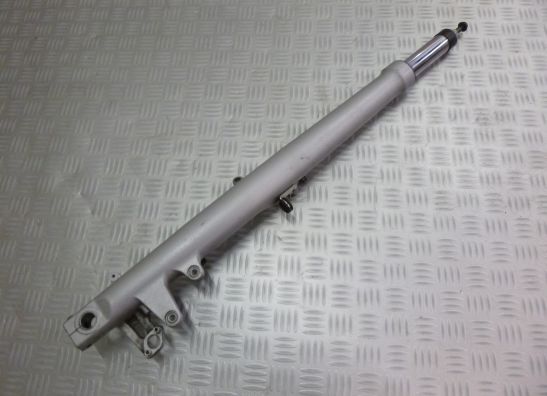 Voorpoot links compleet BMW R 1150 R