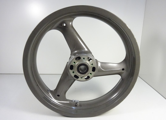 Voorvelg Ducati monster 600