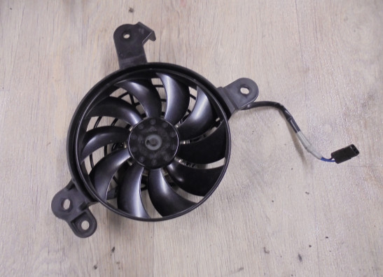 Ventilator Triumph Tiger 900 Rally Pro