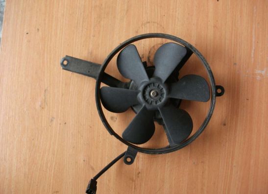 Fan Yamaha YZF R1