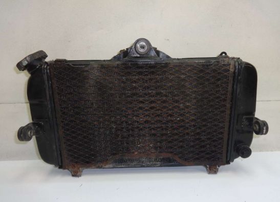 Radiateur Yamaha TDM