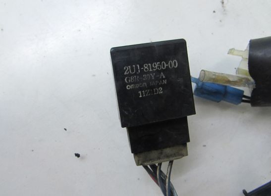 Kabelbaum Yamaha TDM