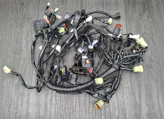 Wire Harness KTM 690 Duke 
