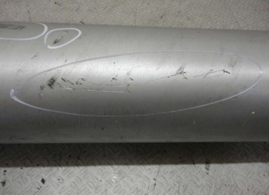 Auspuff Suzuki SV 1000