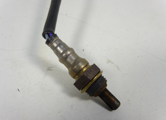 Lambdasonde Benelli 302 R