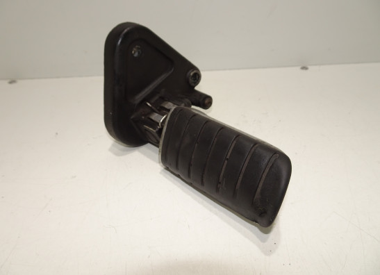 Schetsplaat links Triumph Tiger 900