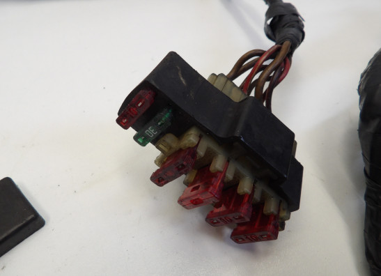 Wire Harness Yamaha V max