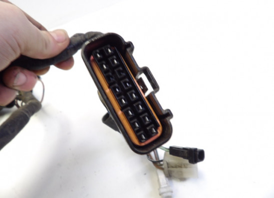 Wire Harness Suzuki SV 650