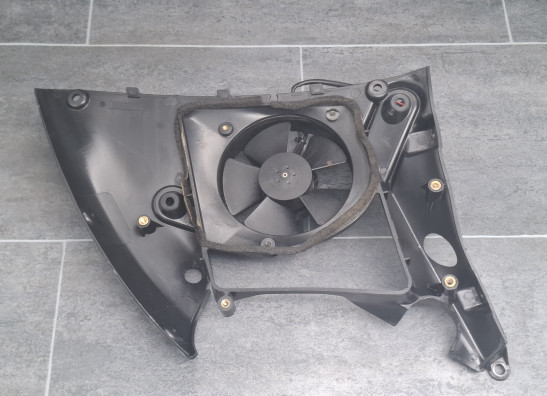 Fan Buell 1125 R