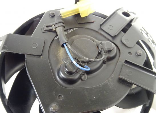 Fan Suzuki GSX R 1000
