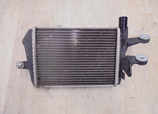 Radiateur BMW R 1200 GS LC