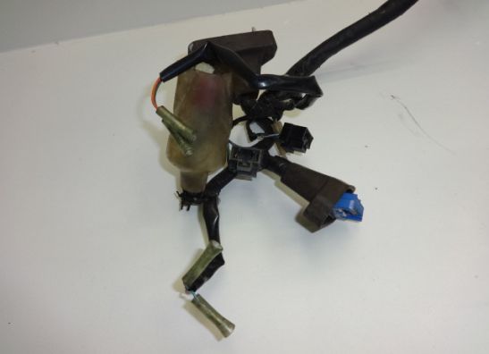 Wire Harness Honda CBR 1100 XX