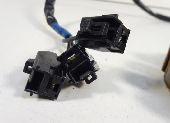 Lichtmaschine Kawasaki GTR 1400