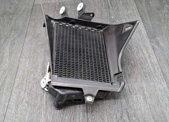 Radiateur BMW R 1200 GS LC Adventure