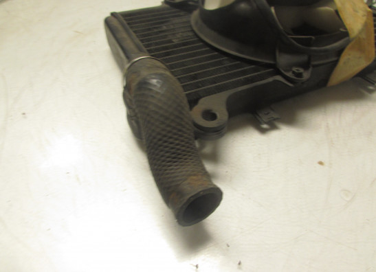 Radiator Kawasaki GPX 750