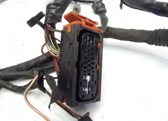 Wire Harness Suzuki GSF 650 Bandit