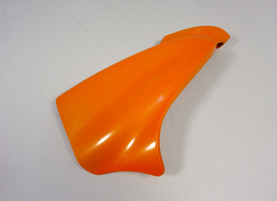 Kanzel links Kawasaki ER 6