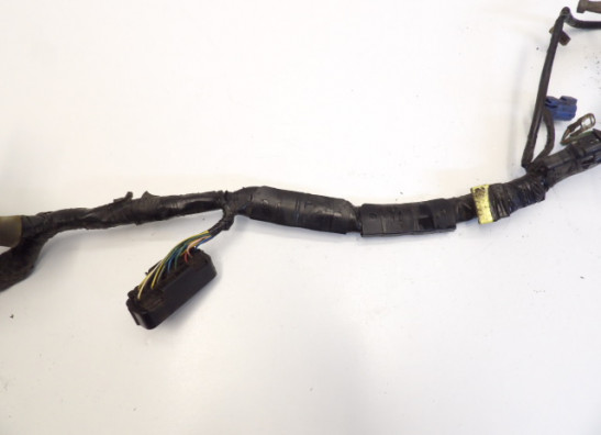 Kabelbaum Honda CBF 500